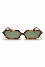 Lentes Cary-1