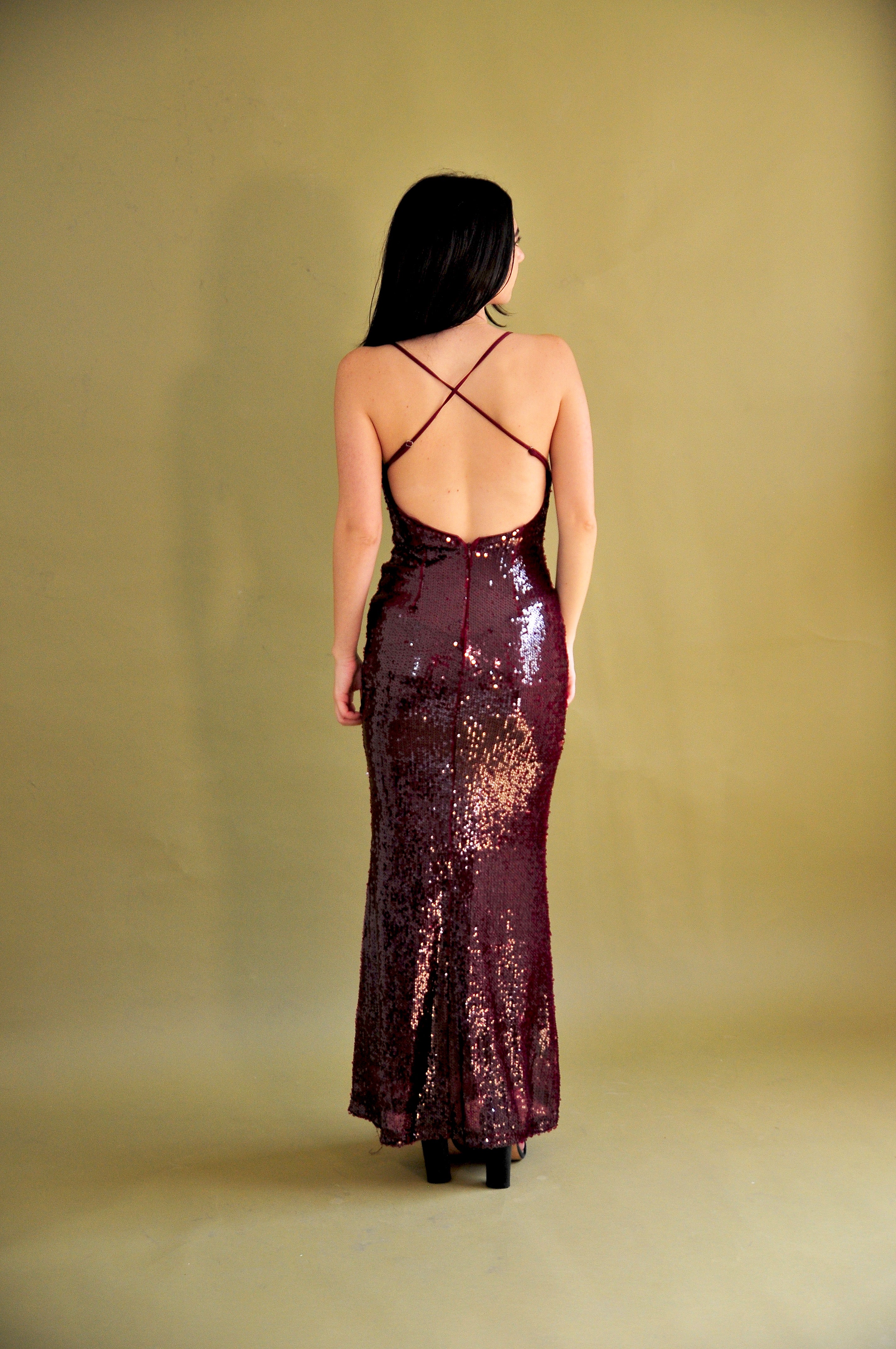 Tania Sequin Dress