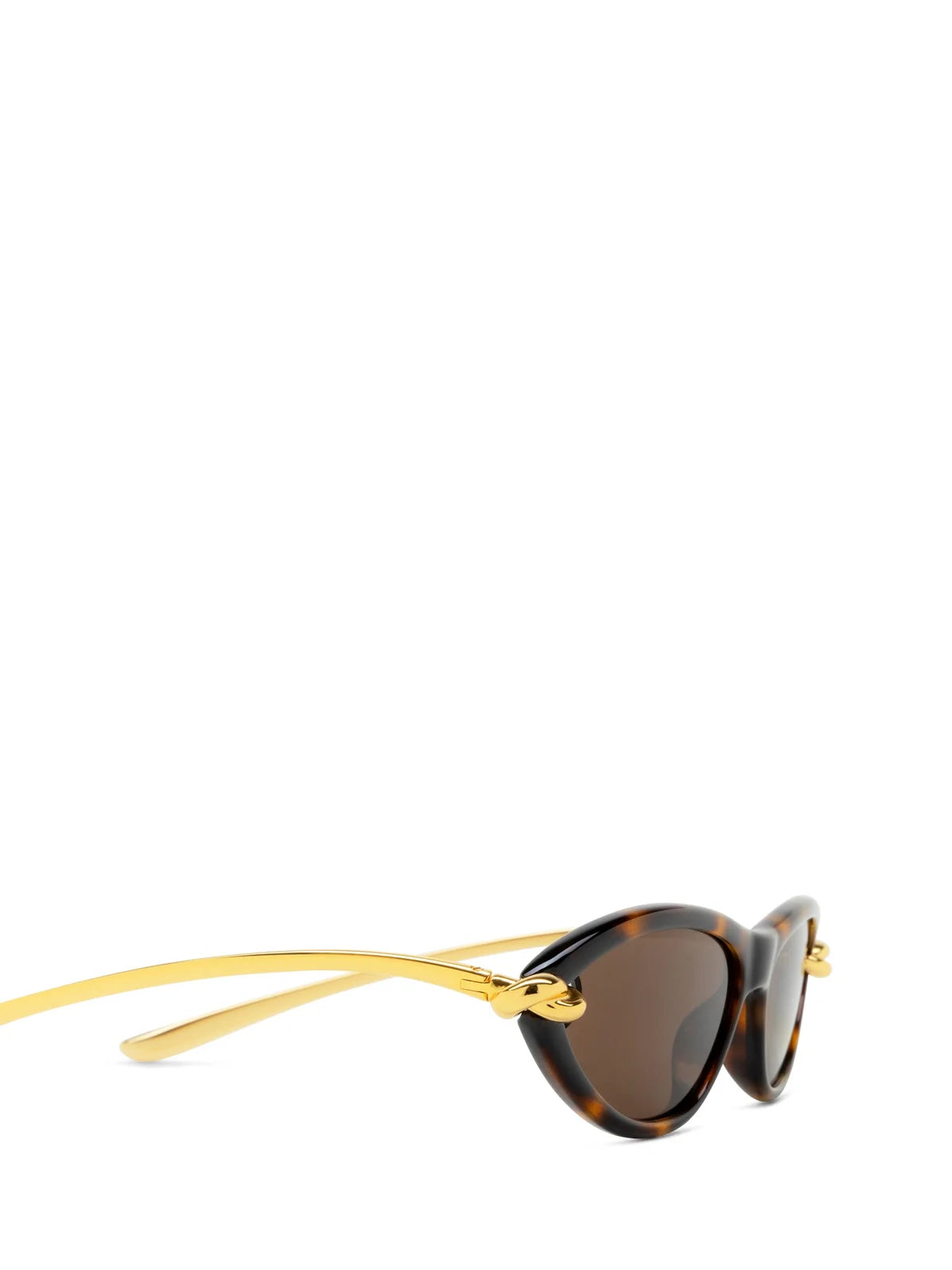 Lentes Bottega Venetta - BV1390S