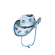 Cowboy Hat