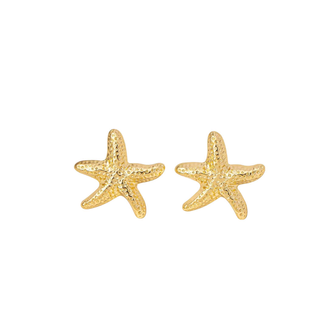 Aretes Estrella Mar